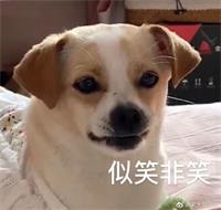 会计宝